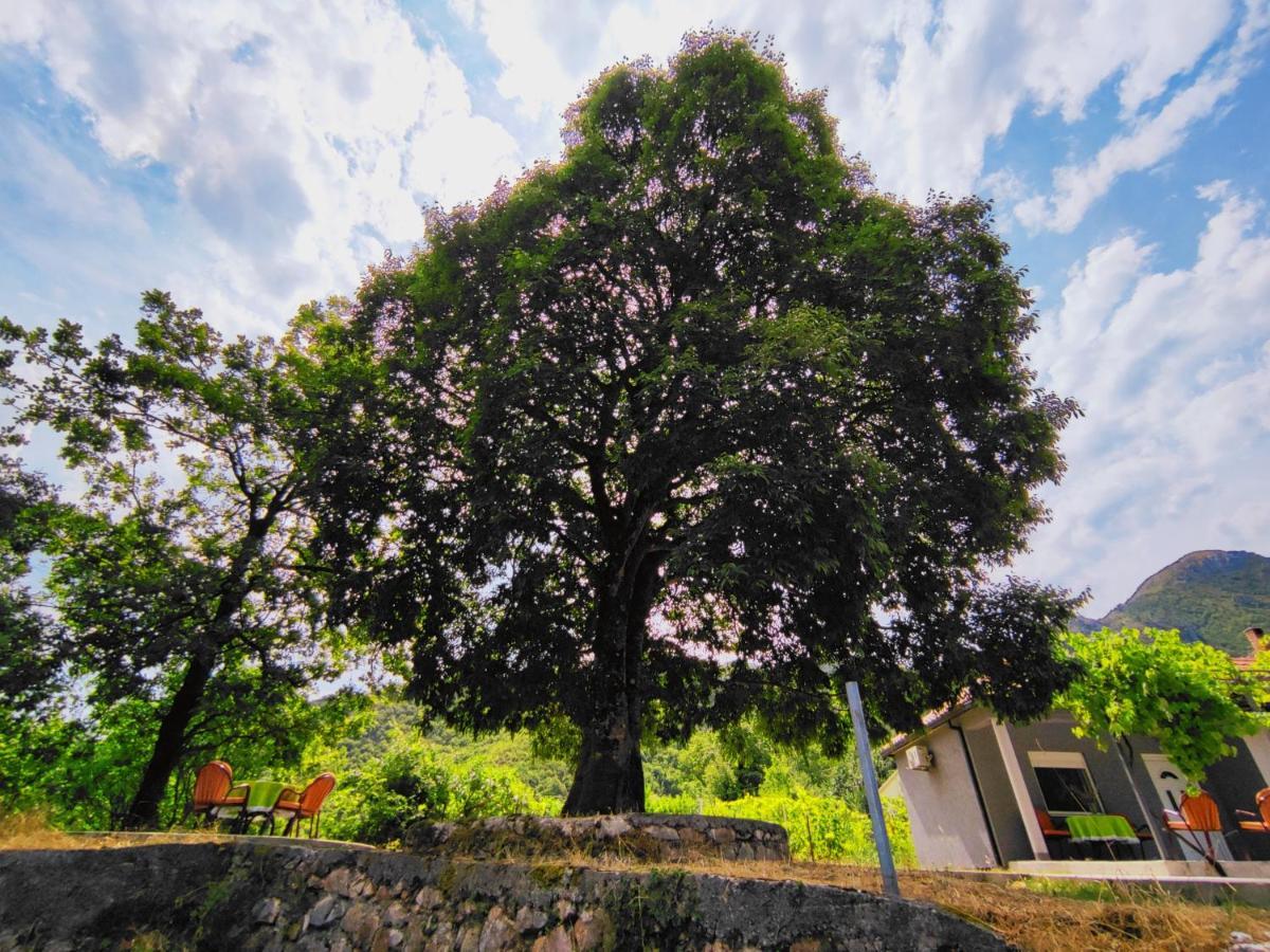 Celtis Shade House Villa Virpazar Exterior foto